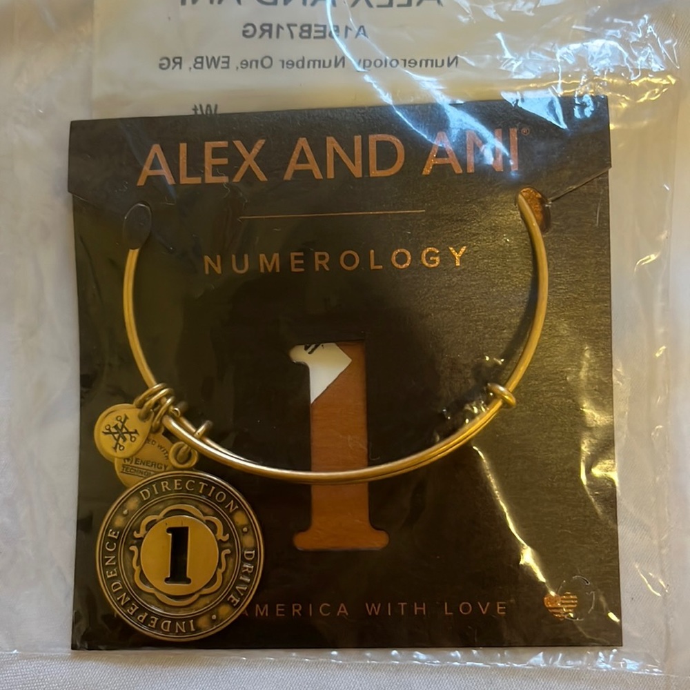 Alex and Ani Numerology Bangle Braclet